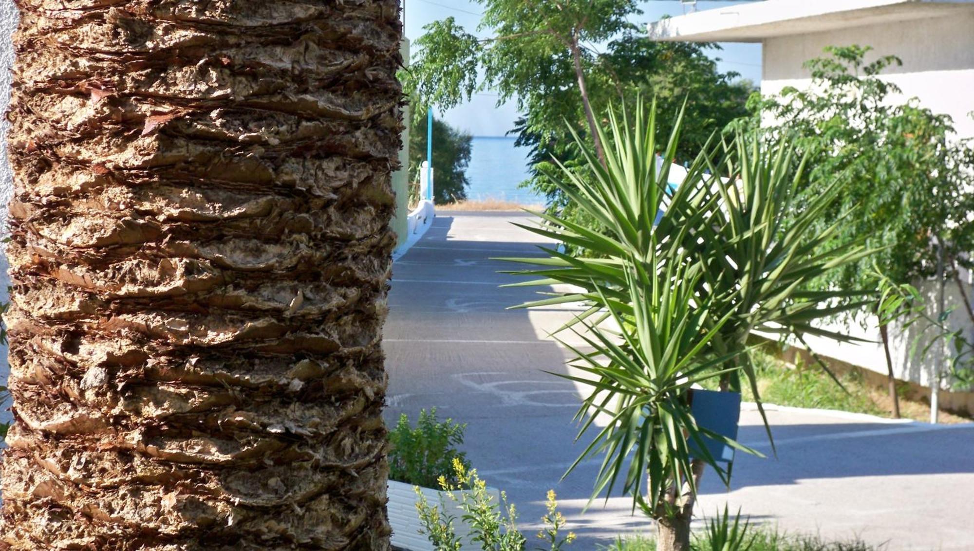 Aphrodite Samos Suites Маратокампос Екстер'єр фото